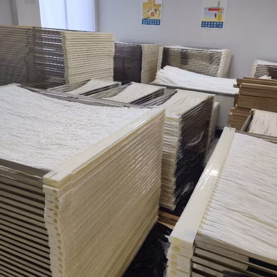 Filtro de agua PVDF Membrana de fibra hueca Biorreactor Mbr