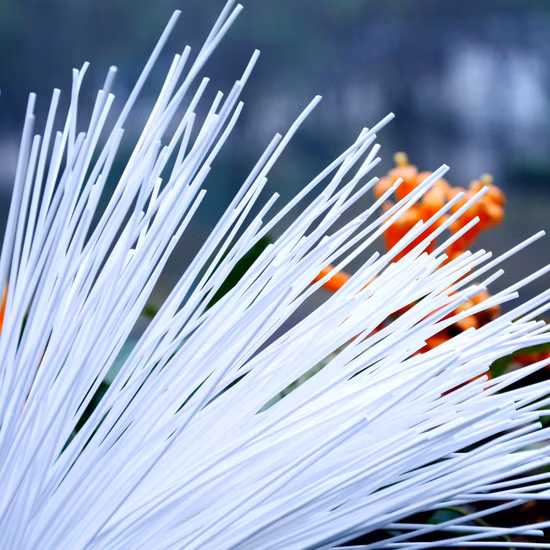 Filtro de membrana presurizado UF de fibra hueca Suntar PVDF en el exterior